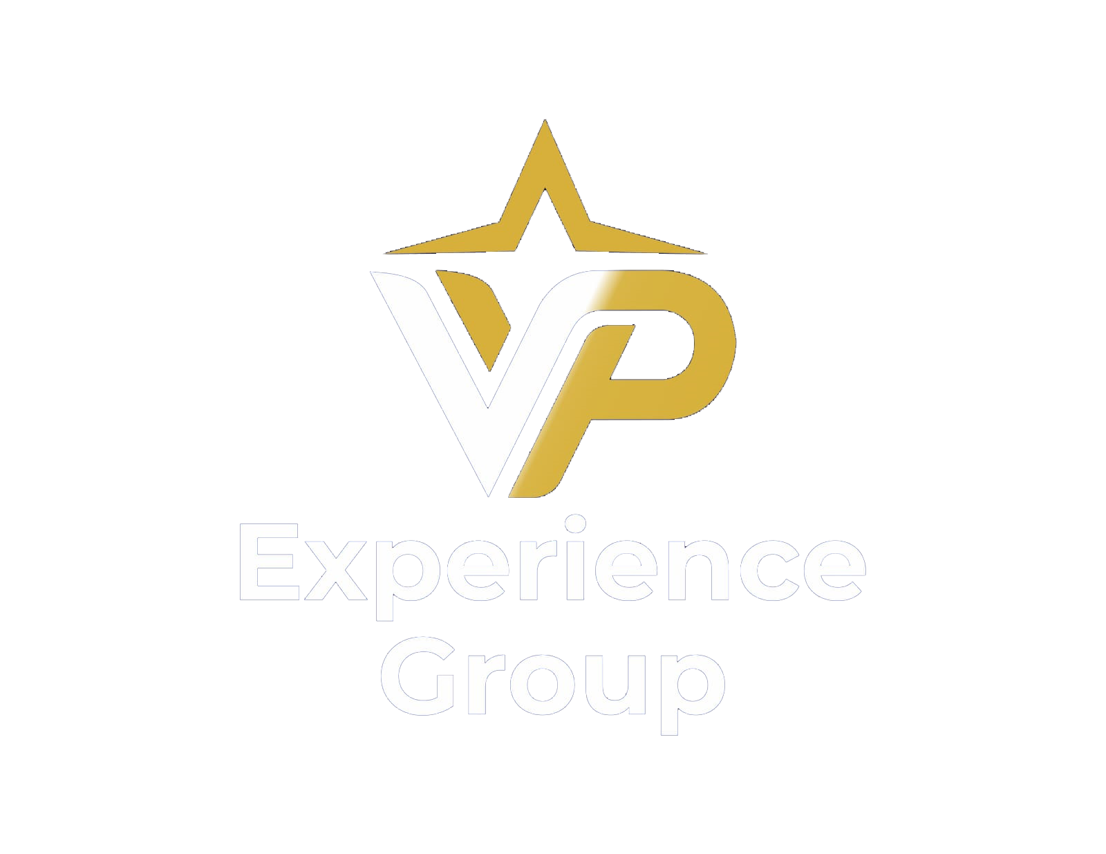 VP Experience Group